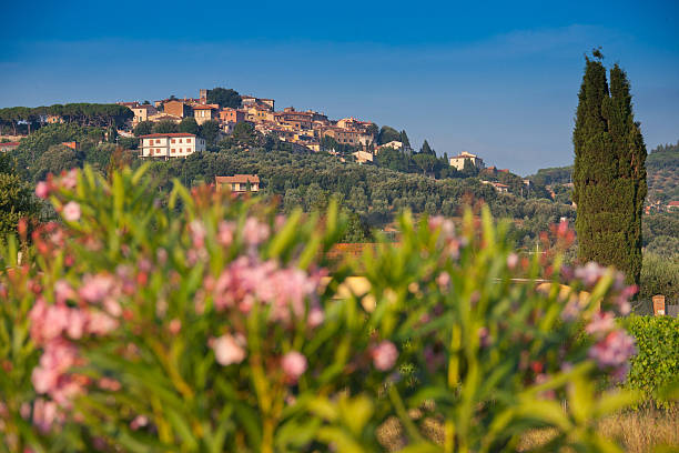 Veduta di Castagneto Carducci, capoluogo del comune