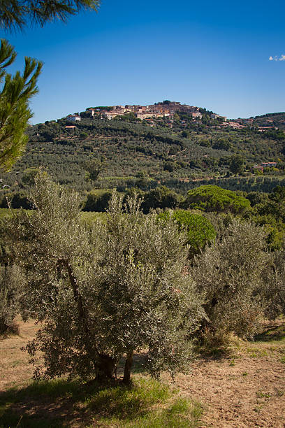 Il borgo di Bolgheri sulla collina, frazione di Castagneto Carducci