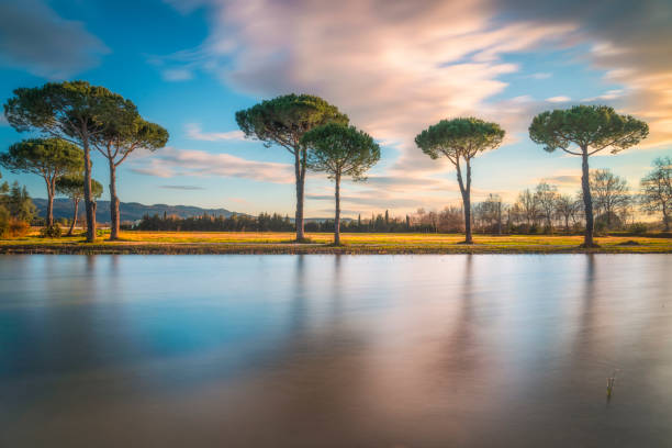 Piccolo laghetto tra i pini nella campagna di Castagneto Carducci