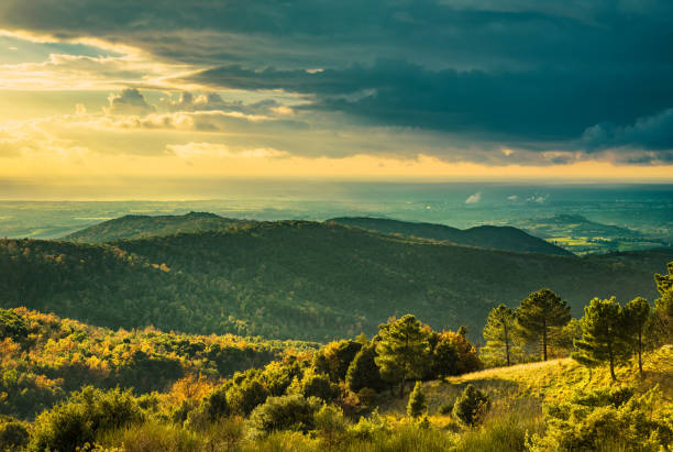 Panorama al tramonto sulla campagna maremmana verso il mare